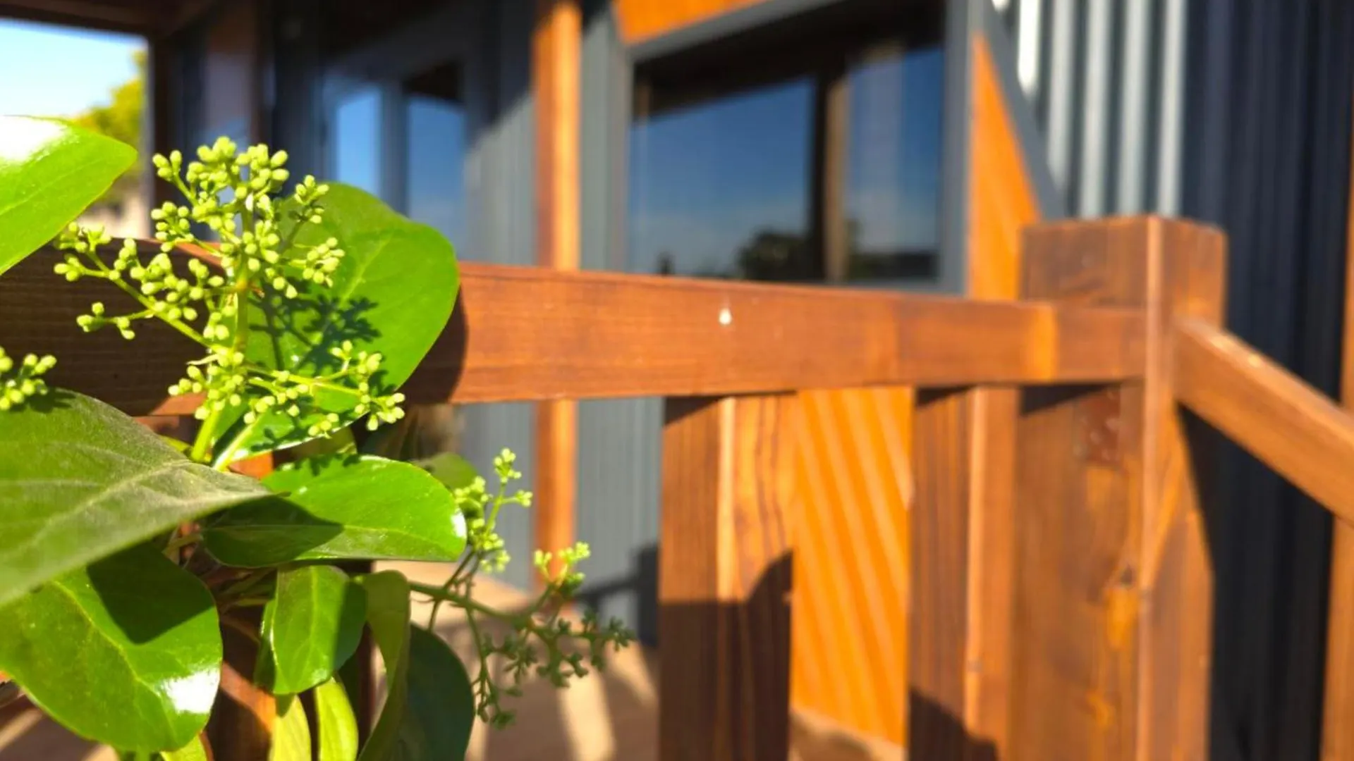Tatil Evi Garden House In Yalikavak Villa Türkiye